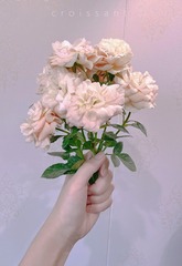 AF78F4CE-182A-4266-940E-E6A4A6398C0A/L0/001