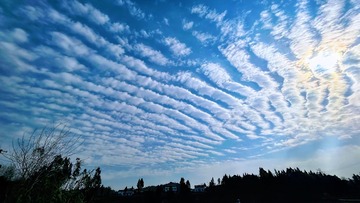 45AB188B-F5F1-46BD-B180-A4FDAF1AC22A/L0/001