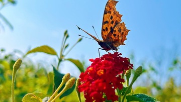 5F294EF3-E05F-4EC4-BBB7-A22757554C87/L0/001