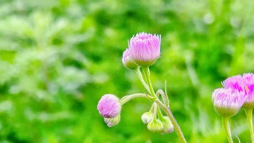 17041DF8-B118-4543-94CB-D86AE9E4139F/L0/001