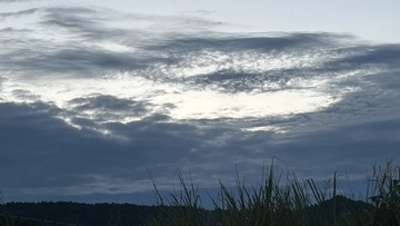 2DDD4C95-99D1-4EFD-827D-D917BC34DE2A/L0/001