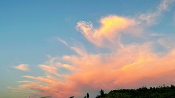 5A0165C8-16FC-4658-BEFD-5B32AD524F12/L0/001