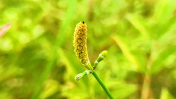 2F130C36-504C-4BDE-82C3-541A7656B991/L0/001