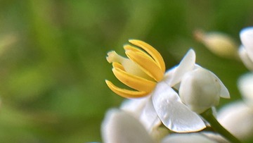 E8176F92-CF67-46B5-AB80-63550A6533AF/L0/001