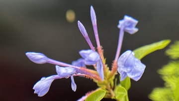 6C6AD638-CB17-4E17-A270-DC494DA389EE/L0/001