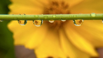 741678A0-62AB-437A-8AE1-5E78CF6677C7/L0/001