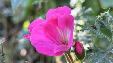 E6E30D44-90DB-475A-80C8-FD158CA2A708/L0/001