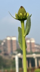001