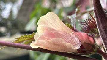 E48D5768-A927-4E07-A6B8-869E8692ADDF/L0/001