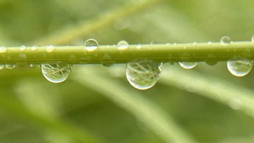 E6997E0E-425E-48F0-AC77-2710318726C4/L0/001