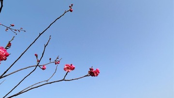 870C5CCA-2C6F-4186-B27D-491B87E0F254/L0/001