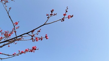 A48CD589-F05A-45AB-BB6B-B31610E7D744/L0/001
