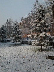 2011-11-30 12.12.36.jpg