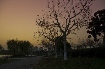 IMGP0966_PS.jpg