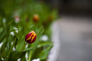 IMGP1530_PS.jpg