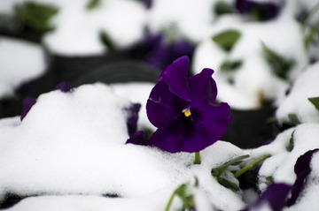 IMGP1612_PS.jpg