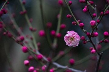 20120226_IMGP2598.jpg