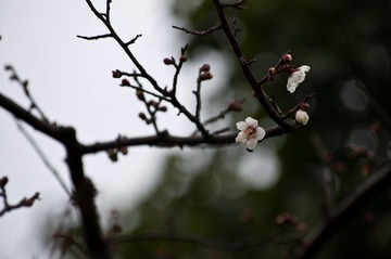 20120226_IMGP2602.jpg