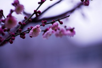 20120226_IMGP2609.jpg