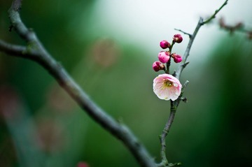 20120226_IMGP2643.jpg