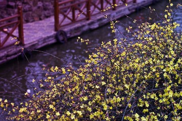 20120226_IMGP2656.jpg