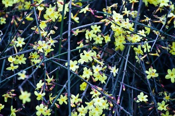20120226_IMGP2657.jpg