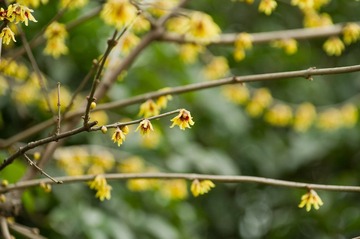 20120226_IMGP2664.jpg