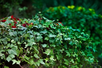 20120226_IMGP2681.jpg