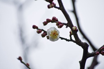 20120226_IMGP2686.jpg