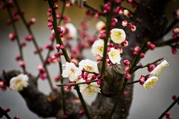 20120226_IMGP2687.jpg