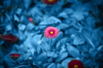 20120226_IMGP2688_PS.jpg