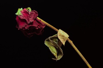 20120317_IMGP3023.jpg