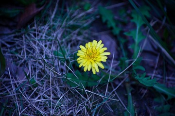 20120403_IMGP3424.jpg