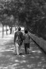 20120406_IMGP3624-1.jpg