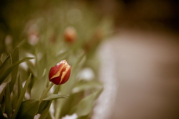 20120612_IMGP1530_2.jpg