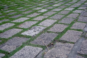 20120709_IMGP5183.jpg