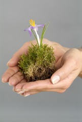 20120923_IMGP6504.jpg