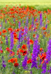 20120923_IMGP6512.jpg