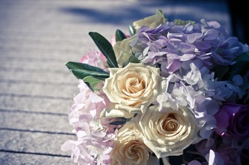 20120923_IMGP6527.jpg