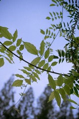 20121002_IMGP6647.jpg