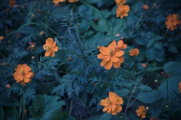 20121002_IMGP6680.jpg