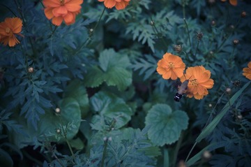 20121002_IMGP6689.jpg