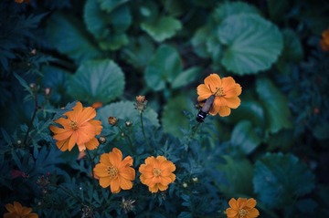 20121002_IMGP6690.jpg