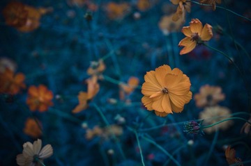 20121002_IMGP6700.jpg