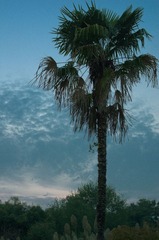 20121002_IMGP6707.jpg