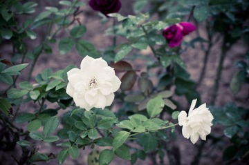 20121013_IMGP6734.jpg