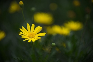 20121013_IMGP6730.jpg