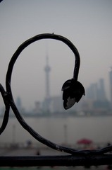 20121028_IMGP7418.jpg