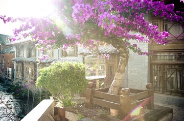 20130618IMGP0376.JPG