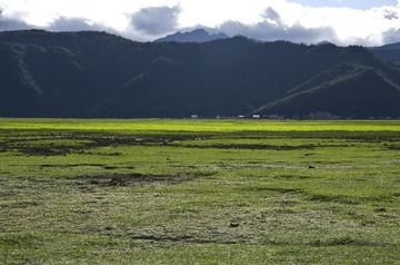 20130620IMGP0775.JPG